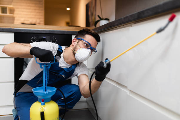 Best Emergency Pest Control  in Parma Heights, OH