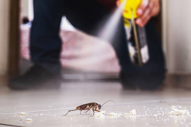 Trusted Parma Heights, OH Pest Control Experts